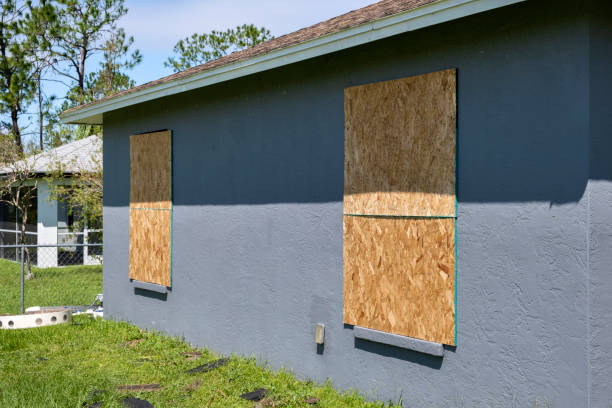 Affordable Siding Repair and Maintenance Services in Sauk Rapids, MN